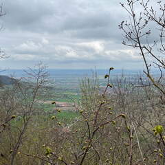 22-04-16 12-21-16 0542